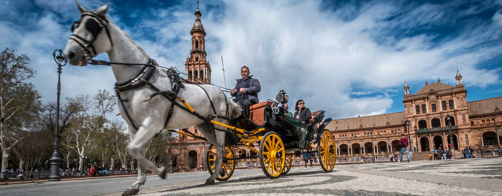 الإتصال بـ Spain Travel Services