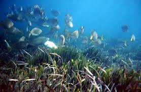 ثلاثة ليالى فى جزيرة ابيزا في جزر البليار